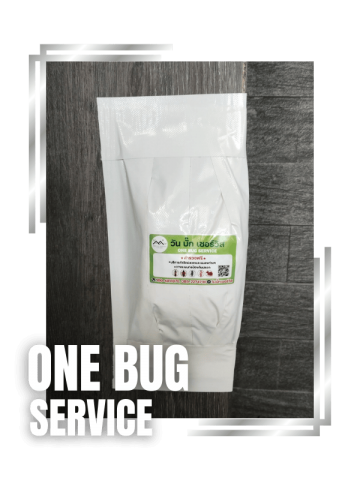 ระบบเหยื่อล่อกำจัดปลวก นนทบุรี (2)